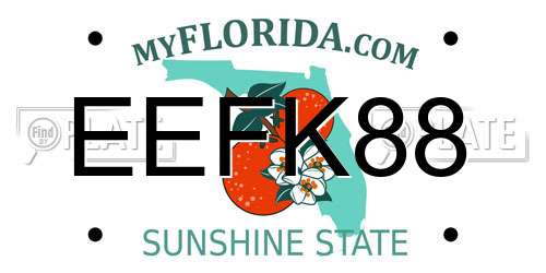 EEFK88 Florida License Plate