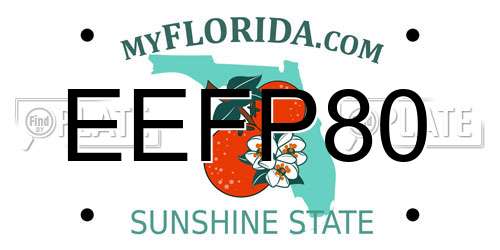 EEFP80 Florida License Plate