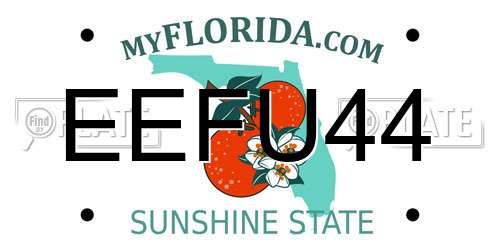 EEFU44 Florida License Plate