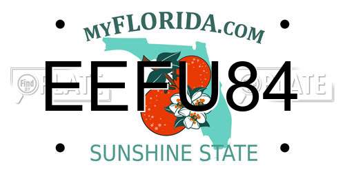 EEFU84 Florida License Plate