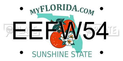 EEFW54 Florida License Plate