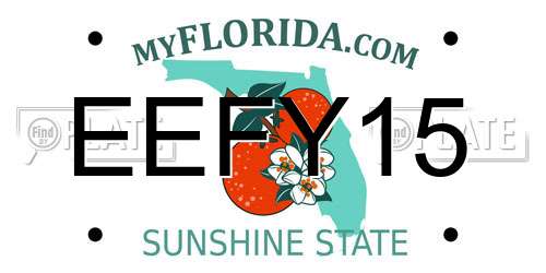 EEFY15 Florida License Plate