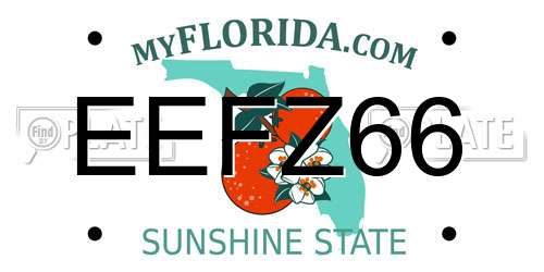 EEFZ66 Florida License Plate