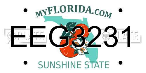 EEG3231 Florida License Plate