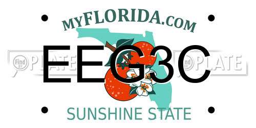 EEG3C Florida License Plate