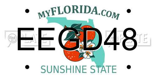 EEGD48 Florida License Plate