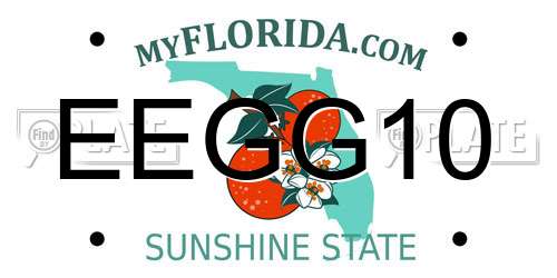 EEGG10 Florida License Plate