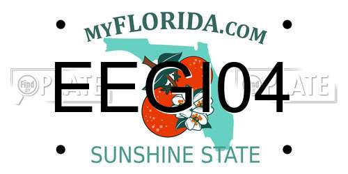 EEGI04 Florida License Plate