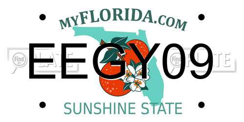 EEGY09 Florida License Plate