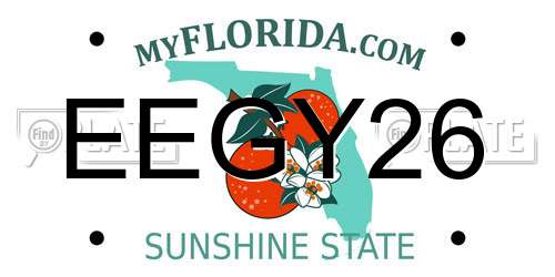 EEGY26 Florida License Plate