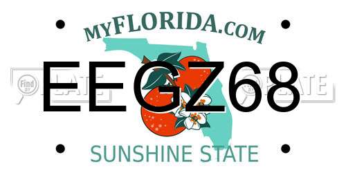 EEGZ68 Florida License Plate