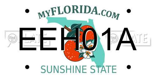 EEH01A Florida License Plate