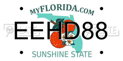 EEHD88 Florida License Plate