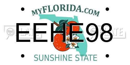 EEHE98 Florida License Plate