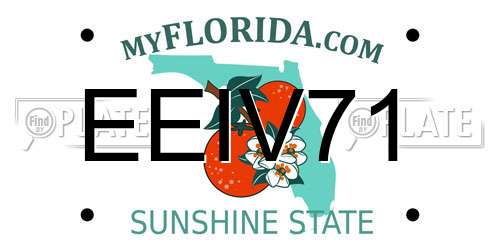 EEIV71 Florida License Plate