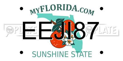 EEJI87 Florida License Plate