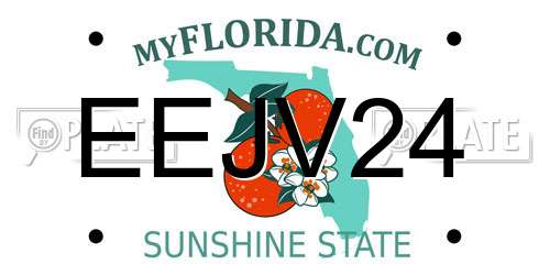 EEJV24 Florida License Plate