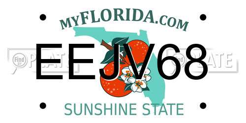 EEJV68 Florida License Plate