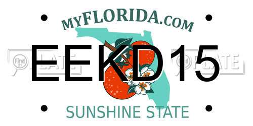 EEKD15 Florida License Plate