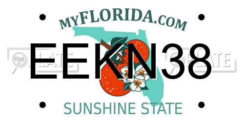EEKN38 Florida License Plate