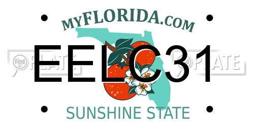 EELC31 Florida License Plate