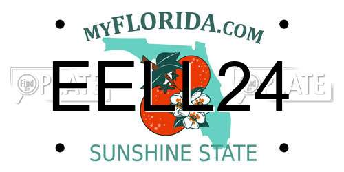EELL24 Florida License Plate