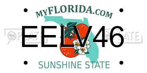 EELV46 Florida License Plate