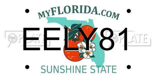 EELY81 Florida License Plate