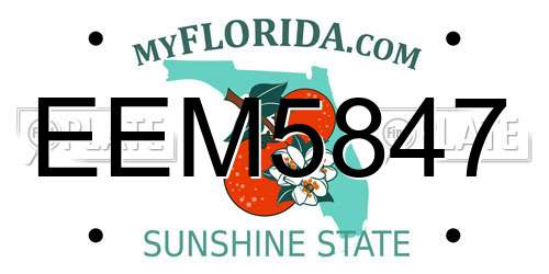 EEM5847 Florida License Plate