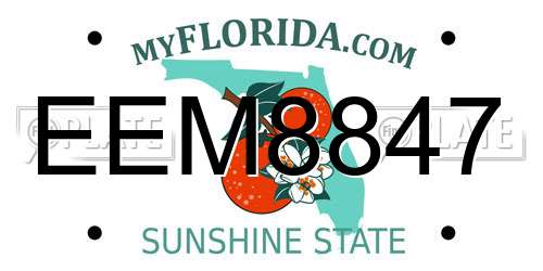 EEM8847 Florida License Plate