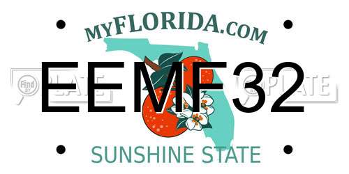 EEMF32 Florida License Plate