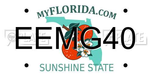 EEMG40 Florida License Plate