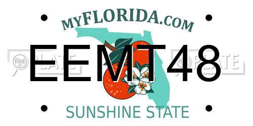 EEMT48 Florida License Plate