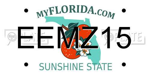 EEMZ15 Florida License Plate