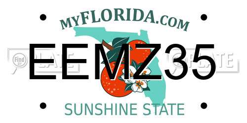 EEMZ35 Florida License Plate