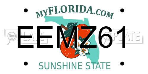 EEMZ61 Florida License Plate