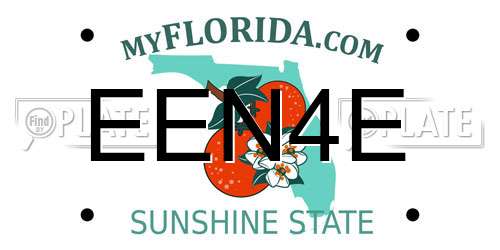 EEN4E Florida License Plate