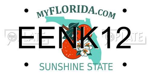 EENK12 Florida License Plate