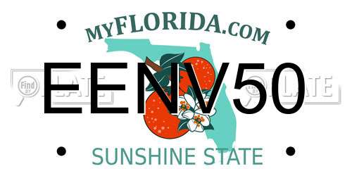 EENV50 Florida License Plate