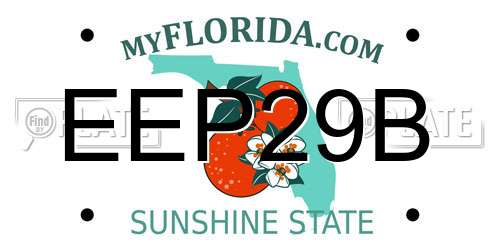 EEP29B Florida License Plate