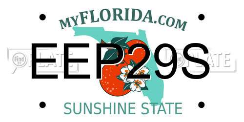 EEP29S Florida License Plate