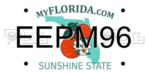 EEPM96 Florida License Plate