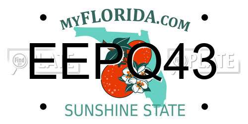EEPQ43 Florida License Plate
