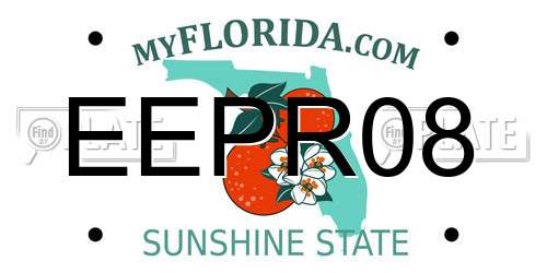 EEPR08 Florida License Plate