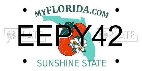 EEPY42 Florida License Plate