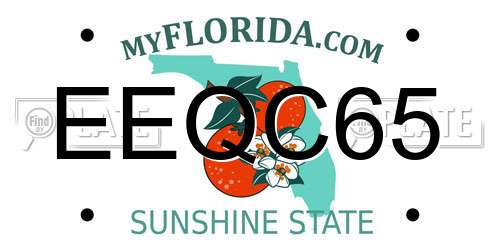 EEQC65 Florida License Plate