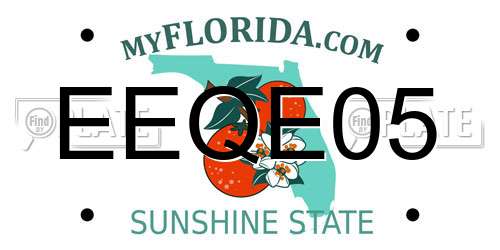 EEQE05 Florida License Plate
