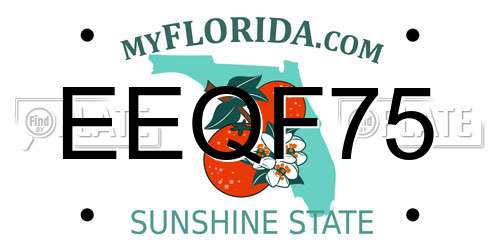 EEQF75 Florida License Plate