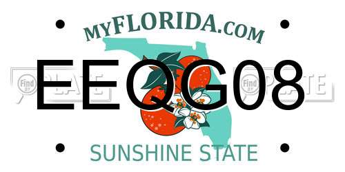 EEQG08 Florida License Plate