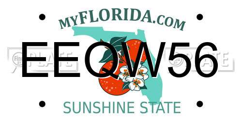 EEQW56 Florida License Plate